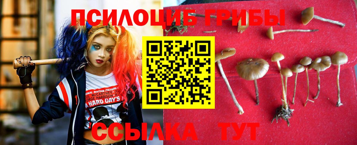 Галлюциногенные грибы прущие грибы  Галлюциногенные грибы GOLDEN TEACHER  Вход с VPN  Ачхой-Мартан 